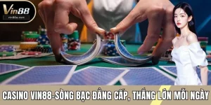 casino vin88